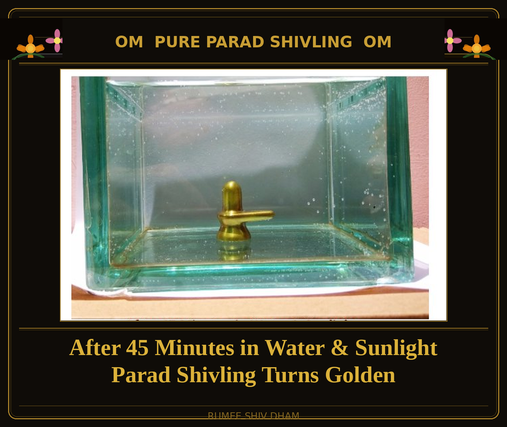 PARAD SHIVLING: 150 GRAMS
