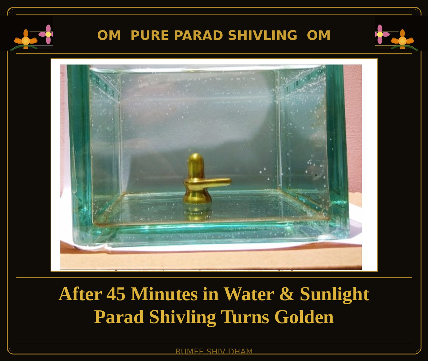 PARAD SHIVLING: 50 GRAMS