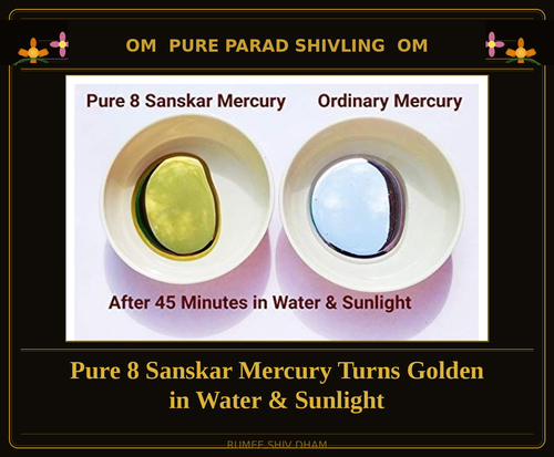 PARAD SHIVLING: 100 GRAMS