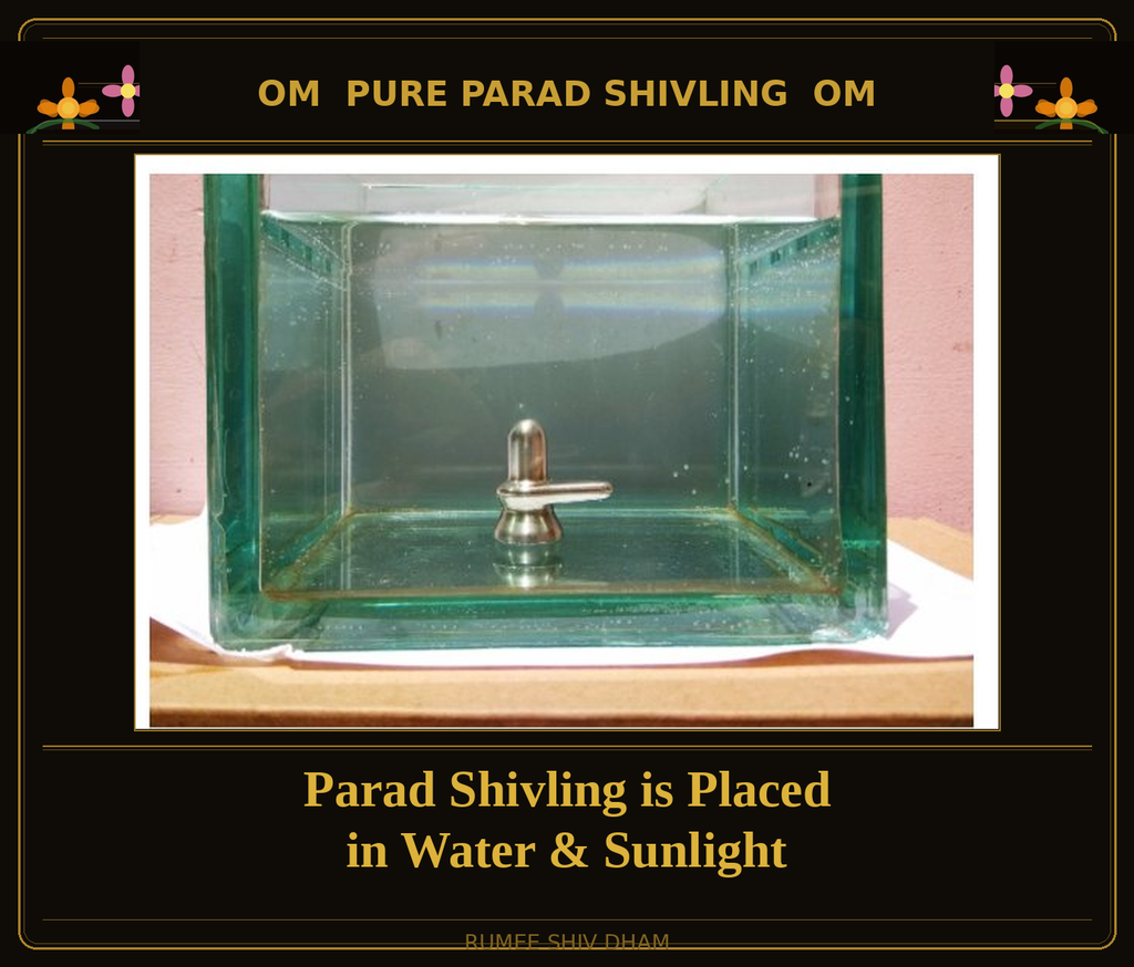 PARAD SHIVLING: 150 GRAMS