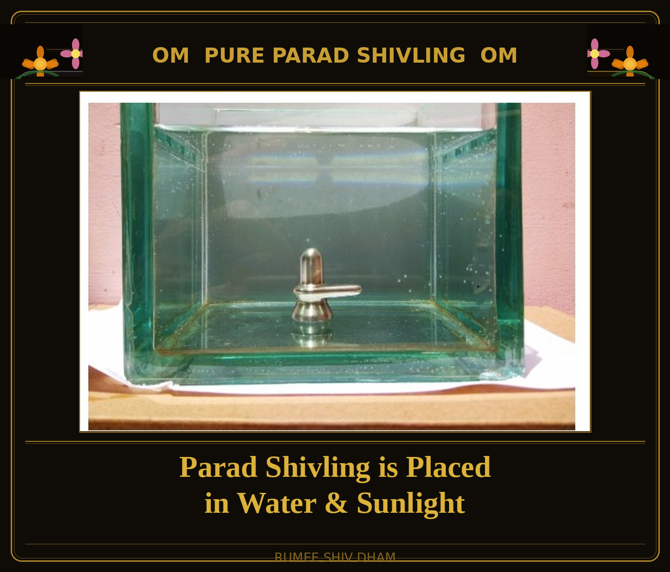 PARAD SHIVLING: 50 GRAMS