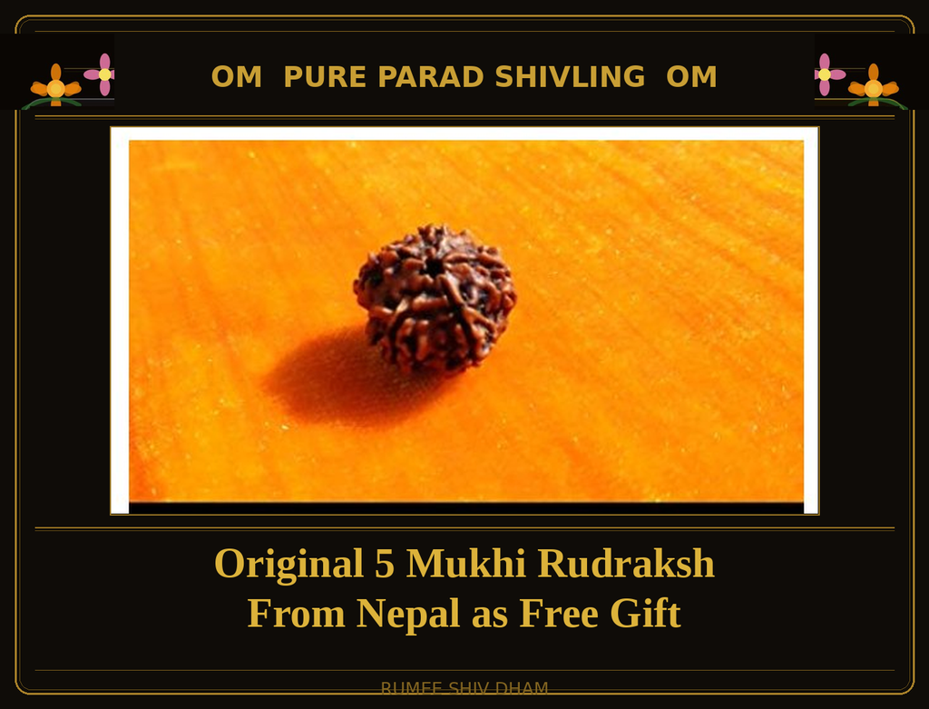 PARAD SHIVLING: 150 GRAMS